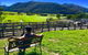 5-Day Lap Of Tasmania Tour From Hobart (flexible Ticket) - thumb 2