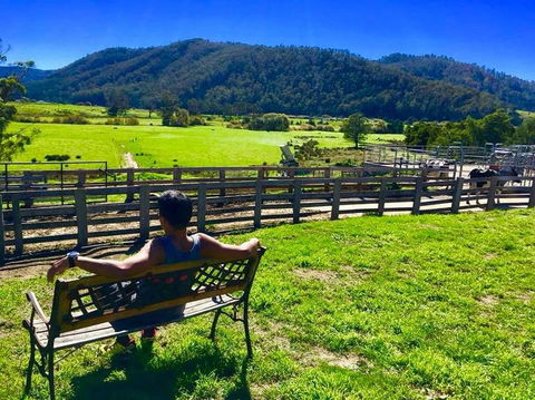 5-Day Lap Of Tasmania Tour From Hobart (flexible Ticket) - Accommodation NT 2
