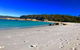 5-Day Lap Of Tasmania Tour From Hobart (flexible Ticket) - thumb 6