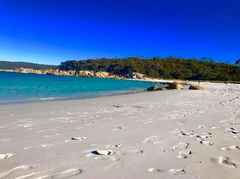 5-Day Lap Of Tasmania Tour From Hobart (flexible Ticket) - Accommodation NT 6