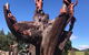 5-Day Lap Of Tasmania Tour From Hobart (flexible Ticket) - thumb 7