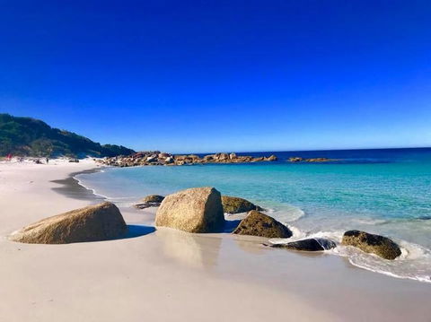 5-Day Lap Of Tasmania Tour From Hobart (flexible Ticket) - Accommodation NT 5