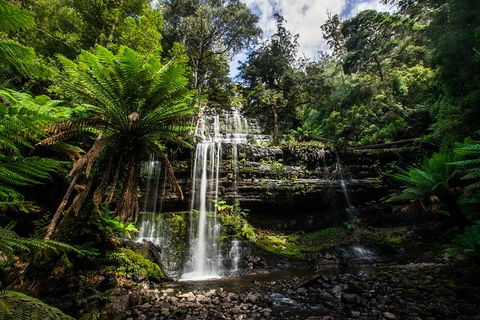 5-Day Lap Of Tasmania Tour From Hobart (flexible Ticket) - Accommodation NT 11