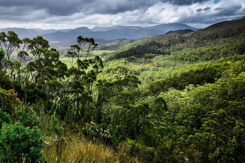 5-Day Lap Of Tasmania Tour From Hobart (flexible Ticket) - Accommodation NT 16