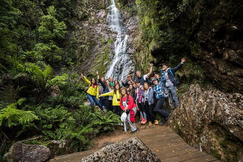 5-Day Lap Of Tasmania Tour From Hobart (flexible Ticket) - Accommodation NT 14