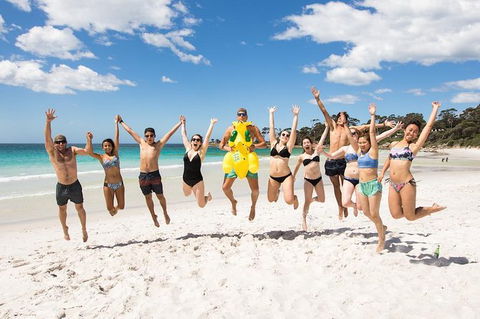 5-Day Lap Of Tasmania Tour From Hobart (flexible Ticket) - Accommodation NT 10