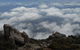 Cruise Ship Special Ex Hobart: Mt Wellington, Richmond, Bonorong With Free WiFi - thumb 15