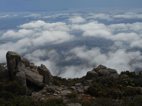 Cruise Ship Special Ex Hobart: Mt Wellington, Richmond, Bonorong With Free WiFi - Accommodation NT 15