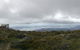 Cruise Ship Special Ex Hobart: Mt Wellington, Richmond, Bonorong With Free WiFi - thumb 4