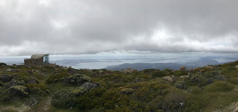 Cruise Ship Special Ex Hobart: Mt Wellington, Richmond, Bonorong With Free WiFi - Accommodation NT 4