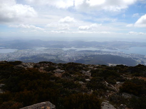 Cruise Ship Special Ex Hobart: Mt Wellington, Richmond, Bonorong With Free WiFi - Accommodation NT 10