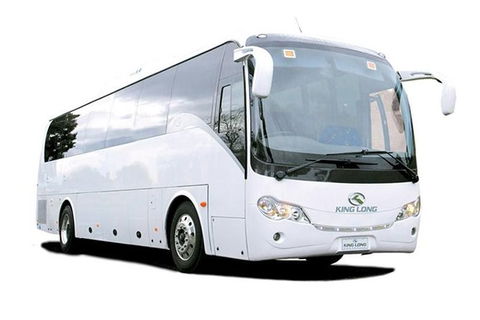 Cruise Ship Special Ex Hobart: Mt Wellington, Richmond, Bonorong With Free WiFi - Accommodation NT 19