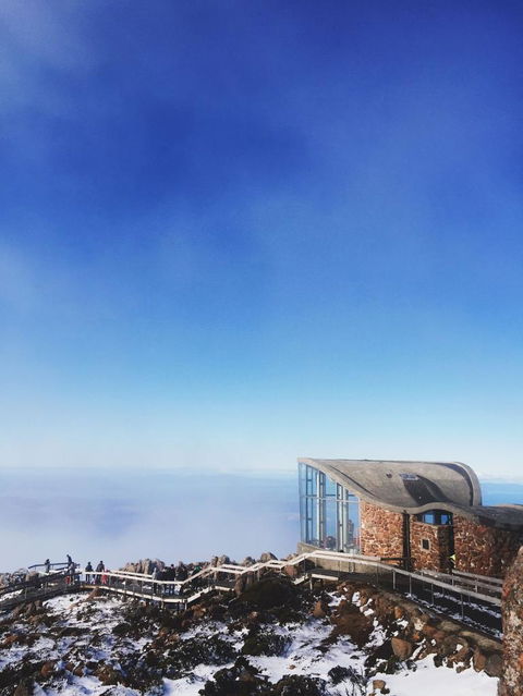 Small-Group Tour From Hobart: Mt Wellington, Bonorong Wildlife Park And Richmond - Accommodation NT 2