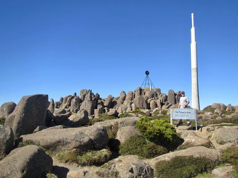 Small-Group Tour From Hobart: Mt Wellington, Bonorong Wildlife Park And Richmond - Accommodation NT 11