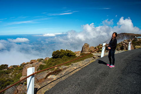 Small-Group Tour From Hobart: Mt Wellington, Bonorong Wildlife Park And Richmond - Accommodation NT 12