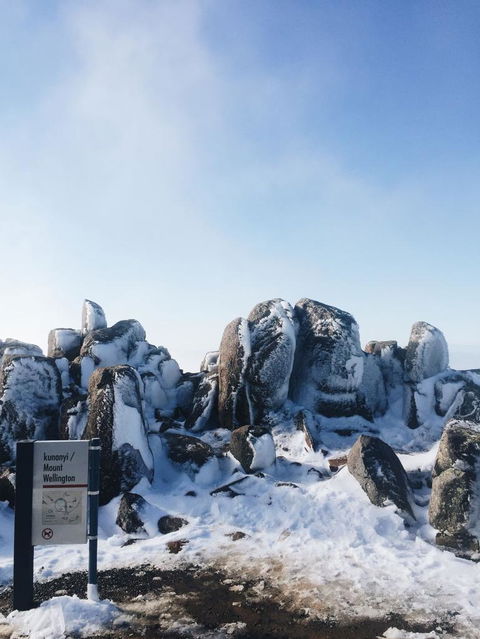 Small-Group Tour From Hobart: Mt Wellington, Bonorong Wildlife Park And Richmond - Accommodation NT 3