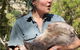 Small-Group Tour From Hobart: Mt Wellington, Bonorong Wildlife Park And Richmond - thumb 8