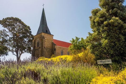 Small-Group Tour From Hobart: Mt Wellington, Bonorong Wildlife Park And Richmond - Accommodation NT 27