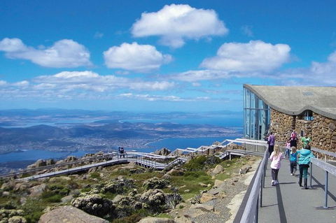 Small-Group Tour From Hobart: Mt Wellington, Bonorong Wildlife Park And Richmond - Accommodation NT 19