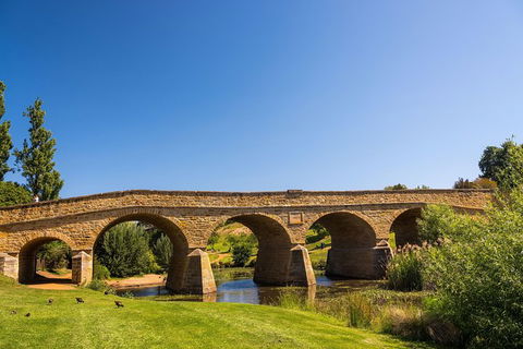 Small-Group Tour From Hobart: Mt Wellington, Bonorong Wildlife Park And Richmond - Accommodation NT 23