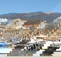 Private Mt Wellington Richmond Bonorong Wildlife Sanctuary Tour from Hobart - Accommodation NT