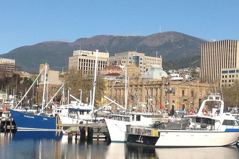 Private Mt Wellington, Richmond, Bonorong Wildlife Sanctuary Tour From Hobart - Accommodation NT 0