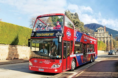 Hobart Hop-On Hop-Off Bus & Kunanyi/Mt Wellington Tour - Accommodation NT 5