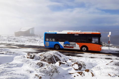Hobart Hop-On Hop-Off Bus & Kunanyi/Mt Wellington Tour - Accommodation NT 3