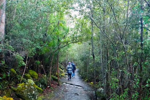 Hobart Hop-On Hop-Off Bus & Kunanyi/Mt Wellington Tour - Accommodation NT 4