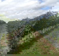 Coal River Valley  Hobart food  wine grazing tour - Accommodation NT