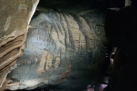 Leven Canyon And Gunns Plains Caves - Accommodation NT 3