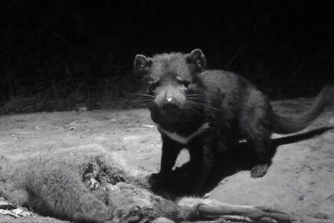 Devil Hide (Overnight Stay, $495 For Up To 3 People) - Accommodation NT 1