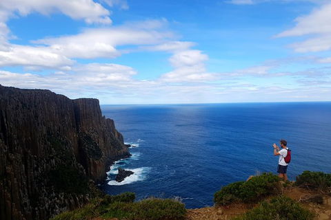 Cape Raoul Hiking Tour - Tasman National Park - Accommodation NT 0