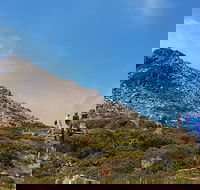 Hartz Peak Hiking Tour - Hartz Mountains National Park - Accommodation NT