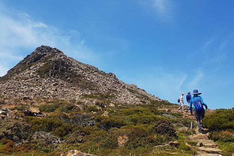 Hartz Peak Hiking Tour - Hartz Mountains National Park - Accommodation NT 0