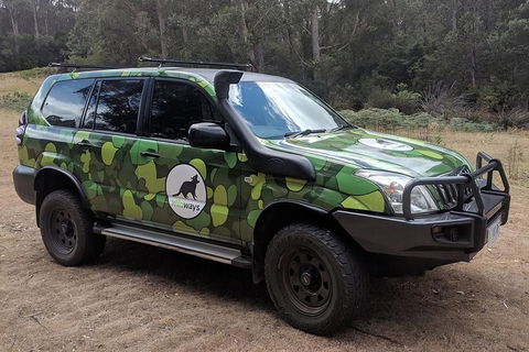 Spotlight Tour (2 Hours, $120 Per Person) - Accommodation NT 0