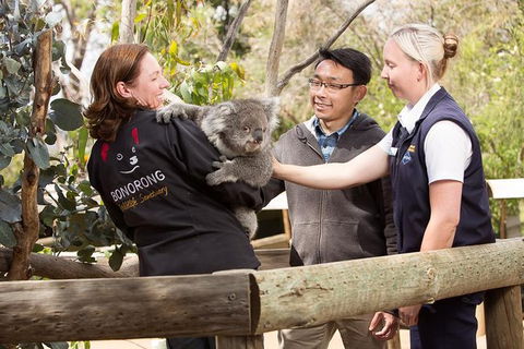 3 Of Hobart's Best Experiences In One Day - Mt Wellington, Richmond And Bonorong - Accommodation NT 0
