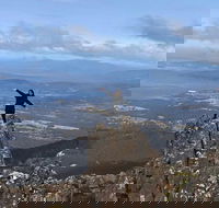Mt Wellington ONE WAY WALKERS Tour great option for bushwalkers - Accommodation NT