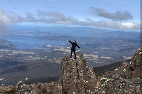 Mt Wellington ONE WAY WALKERS Tour, Great Option For Bushwalkers - Accommodation NT 0