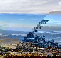 Mt Wellington and City Sights combo tour Hobart history  views in one day - Accommodation NT