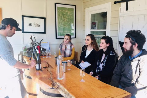 7- 8 Hour StelaVino Guided Wine Tours From Hobart - Accommodation NT 23