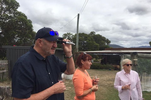 7- 8 Hour StelaVino Guided Wine Tours From Hobart - Accommodation NT 14