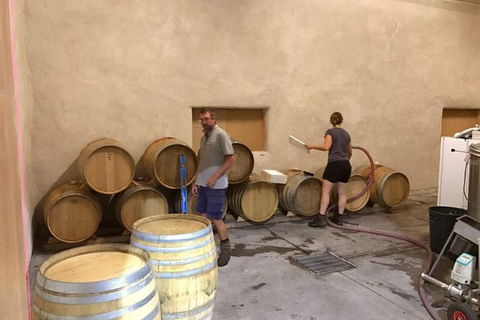 7- 8 Hour StelaVino Guided Wine Tours From Hobart - Accommodation NT 18
