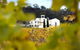 7- 8 Hour StelaVino Guided Wine Tours From Hobart - thumb 22