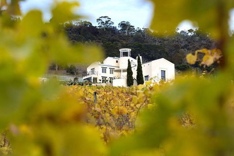 7- 8 Hour StelaVino Guided Wine Tours From Hobart - Accommodation NT 22