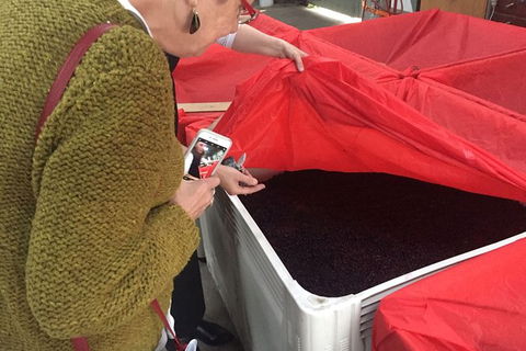 7- 8 Hour StelaVino Guided Wine Tours From Hobart - Accommodation NT 20