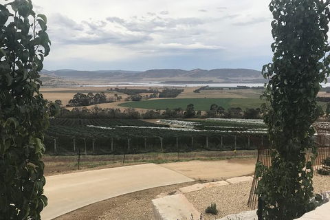 7- 8 Hour StelaVino Guided Wine Tours From Hobart - Accommodation NT 10