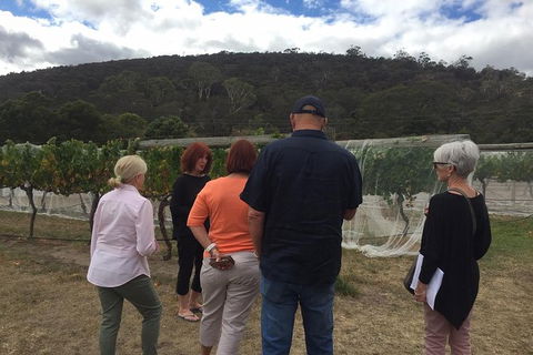 7- 8 Hour StelaVino Guided Wine Tours From Hobart - Accommodation NT 9