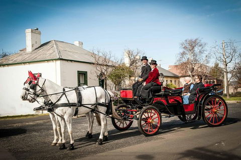 Trot Through Time - Accommodation NT 0