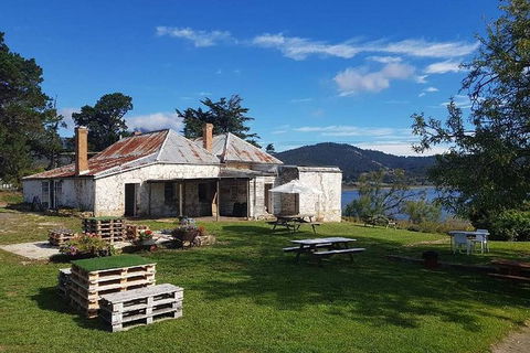 Hobart Small Group Wine Tour Saturday Afternoon: Wines, Gins & Cheeses - Accommodation NT 5